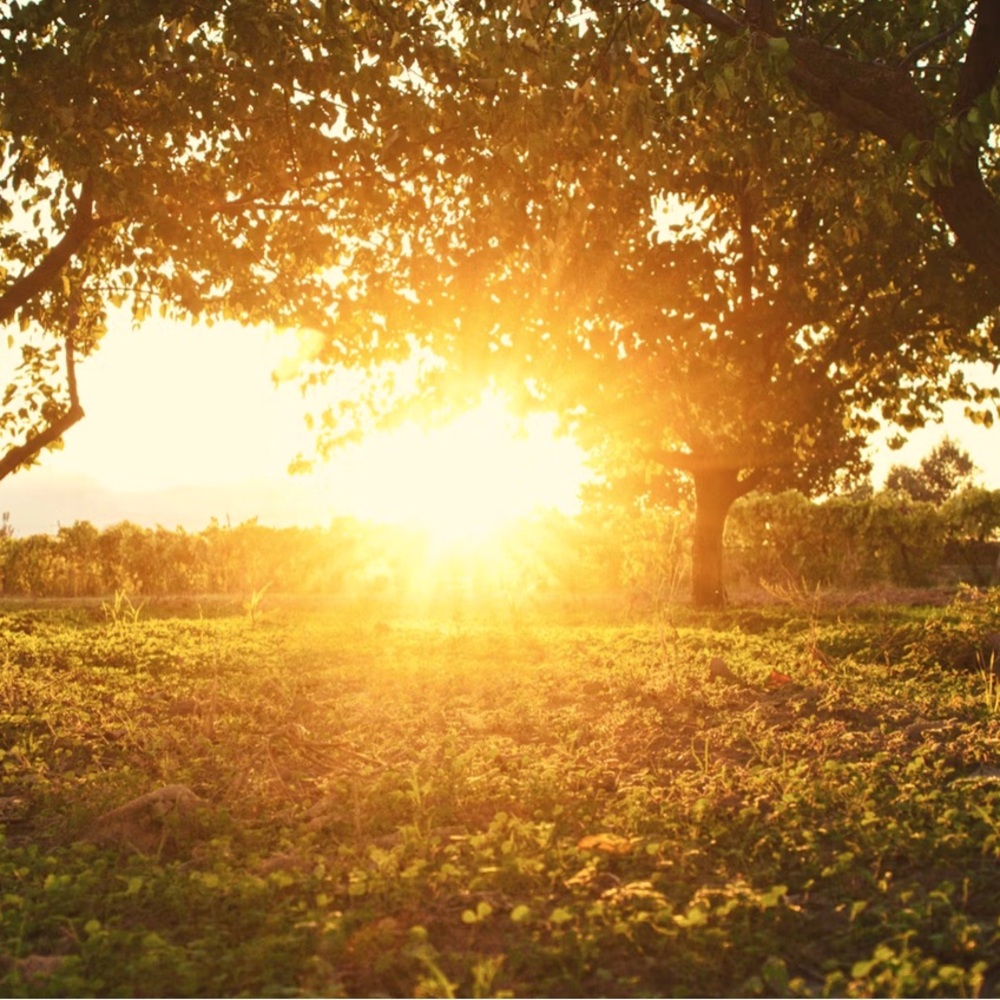 Meet your Posher, Kourtney